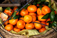Hainan - Haikou Tangerines