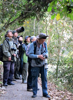 Yunnan - Xishuangbanna Birdwatching Walk Scenes