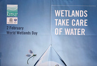 Mai Po - World Wetlands Day Poster
