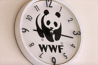 Mai Po - WWF Visitor Center