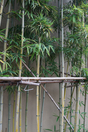 Bamboo Infrastructure