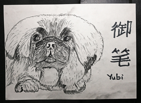 Charcoal Sketch of Yubi