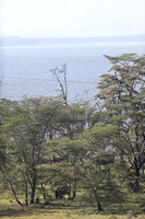 Nakuru — Lake Nakuru Flood Damage