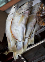 Dried Sea Bream On Offer