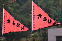Two Red Pennants