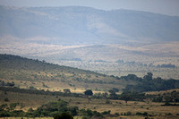 Kenya - Maasai Mara Vistas