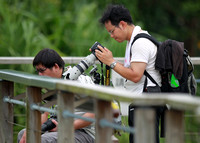 香港 - Wetland Park Nature Photographers