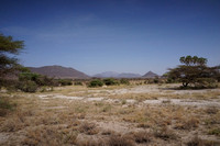 Samburu — Views on a Buffalo Springs Track