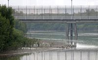 Wetland Park - High Security Walking Bridge