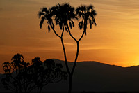 Samburu — Sunset Interlude