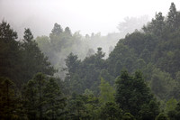 Fujian - Futang's Cloud Forest
