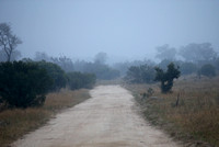 Track on a Foggy Morning