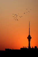 Pigeon Flock at Sunrise  -  Beijing