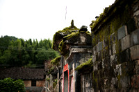 Fujian - Stone and Moss