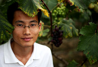 Fujian - Vineyard Portraits