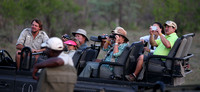 Leopard Hills — Cheetah Photographers