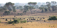Meru — Pastoral Landscape