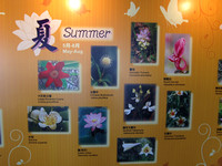 香港 - Wetland Park Plant Information Display