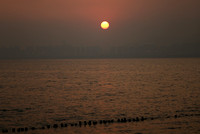 Shenzhen Bay Sunset