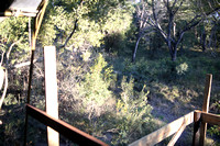 Last Glance at Ndzhaka's Garden of Eden