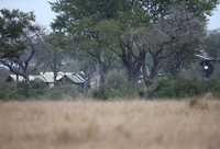 Buffelshoek Camp from the Waterhole