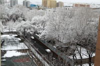 Beijing's 18 March Late Winter Snow