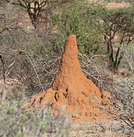 Samburu — Monument to Industry