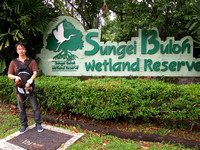 Singapore - Arrival at Sungei Buloh Wetland Reserve