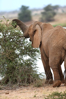 Samburu — This Can't Be Easy