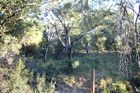 View Looking Out from Tent #1