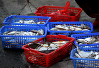 Hainan - Haikou Food, Fish and New Year Decoration Vendors