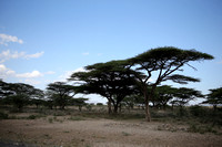 Samburu — Approaching Archers Post