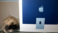 Peke iMac 3