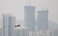 Hong Kong - Birds in Mai Po with a Shenzhen Backdrop