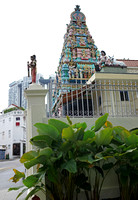 Singapore - Couroupita guianensis & Sri Layan Sithi Vinayagar Temple