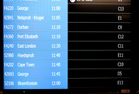 Domestic Flight Departures