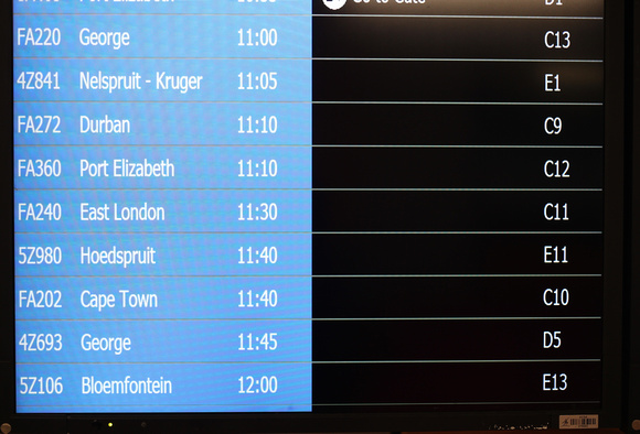 Domestic Flight Departures