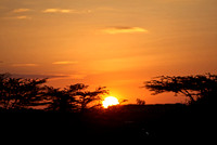 Kenya - Maasai Mara Sunset After a Safari