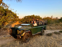 Final Game Drive — Abandoned