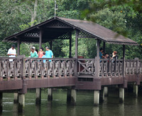 Singapore - Sungei Buloh Walking Bridge
