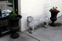 Stretched Basset