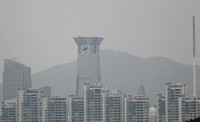 Hong Kong - Milvus lineatus Soars Near Shenzhen's Skyline